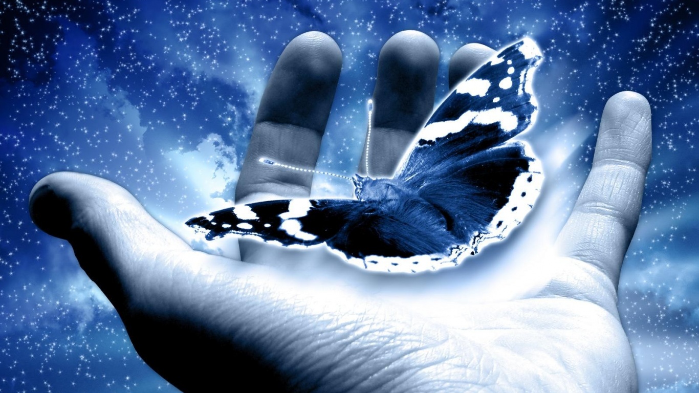holding-a-butterfly-wallpapers_10255_1366x768